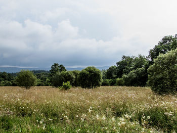 Scenic view of field against cloudy sky