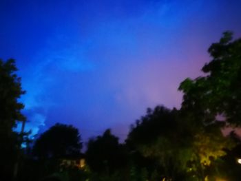 Low angle view of silhouette trees against sky at night