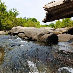 Rock formation amidst trees against sky