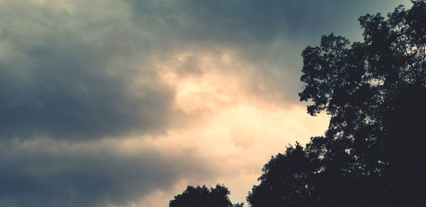 Low angle view of silhouette trees against sky during sunset