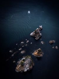 High angle view of rocks in sea