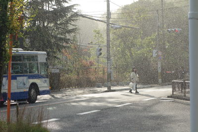 Man walking on road along trees