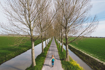 Rear view of person walking on footpath amidst bare trees