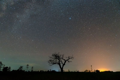 Silhouette trees on field against sky at night