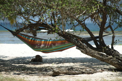 View of boat on beach