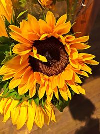 Close-up of sunflower