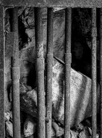 Close-up of rusty metal fence