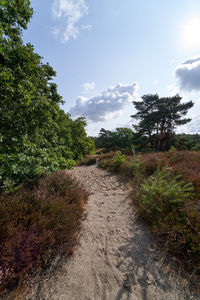 Dirt road amidst plants and trees against sky