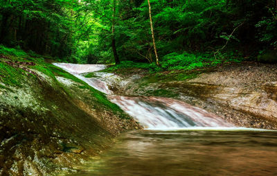 Scenic view of waterfall in forest