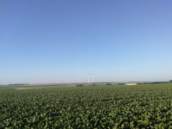Scenic view of field against clear sky