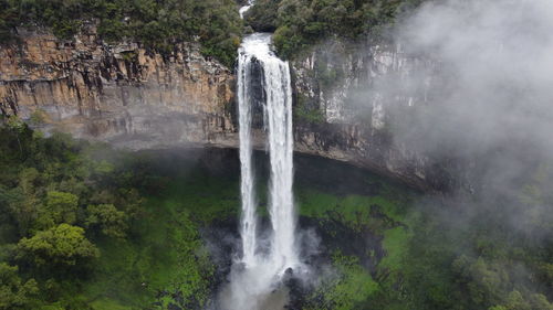 Scenic view of waterfall in forest