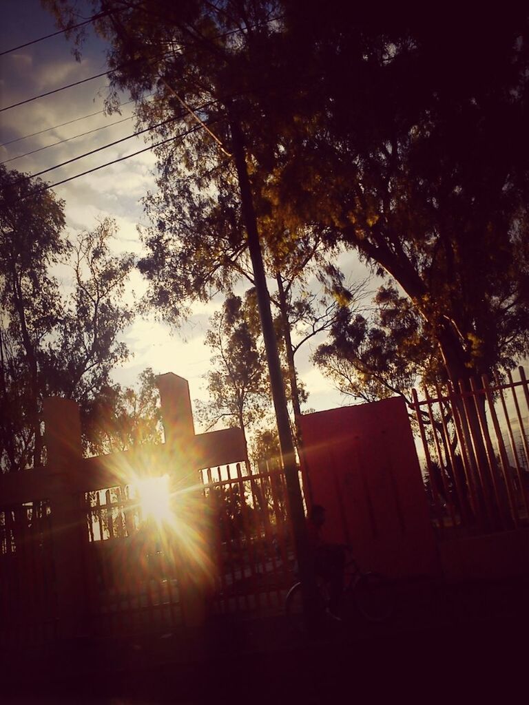 silhouette, tree, low angle view, sunset, power line, built structure, sun, architecture, sky, building exterior, sunlight, electricity pylon, sunbeam, cable, lens flare, electricity, connection, power supply, no people, outdoors