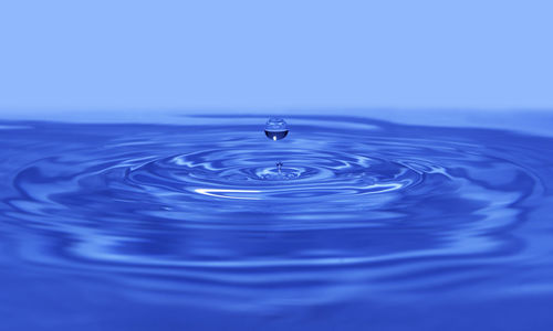 Close-up of water drop