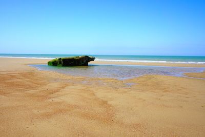 Scenic view of beach against clear blue sky