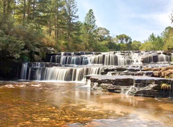 Scenic view of waterfall in forest