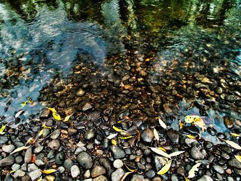 Full frame shot of pebbles