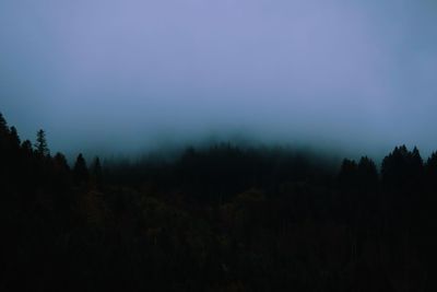 Silhouette trees in forest against sky