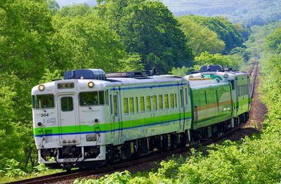 Green trees and inspection train