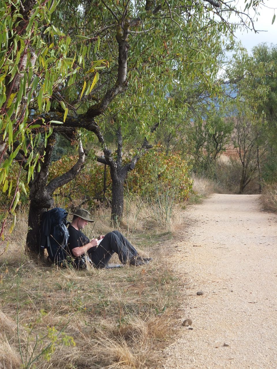 VIEW OF DOG LYING DOWN ON FIELD