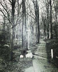 Bare trees in forest against sky