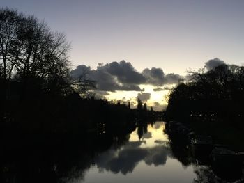 Reflection of trees in water