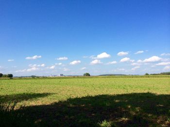 Scenic view of grassy field against sky