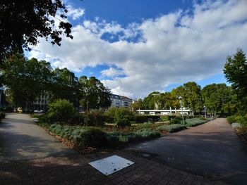 Trees in city against sky