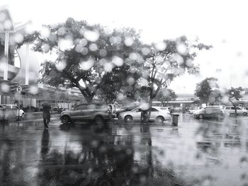 Cars on road in city against sky