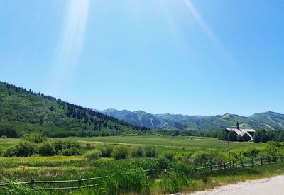 Scenic view of landscape against clear sky