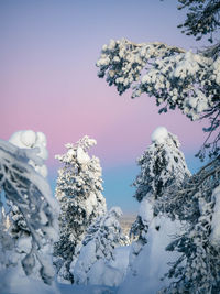 Low angle view of snow covered mountain against sky