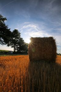 Hay bales on field against sky