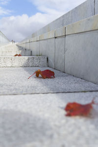 Close-up of road against sky