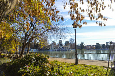 View of trees with city in background