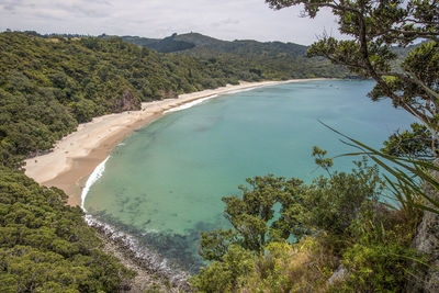 High angle view of sea and trees