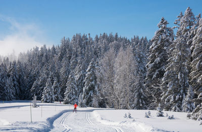 Winter landscape on an alpine plateau in the belledonne massif in chamrousse