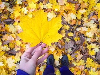Low section of person holding autumn leaves