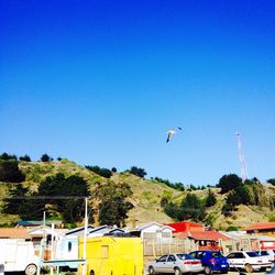 Airplane flying in sky