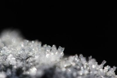 macro photography