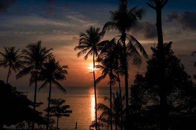 Silhouette palm trees by sea against sky at sunset