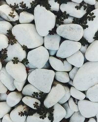 Full frame shot of pebbles