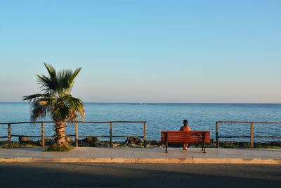 Rear view of woman sitting on bench by sea against sky