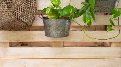 Close-up of potted plant in basket on table against wall