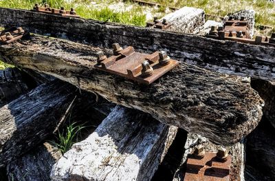 Close-up of damaged stack of logs