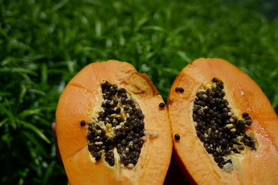 Close-up of orange slice