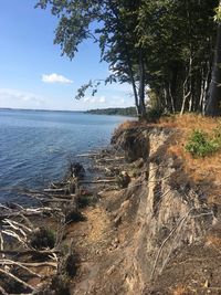 Scenic view of sea against sky