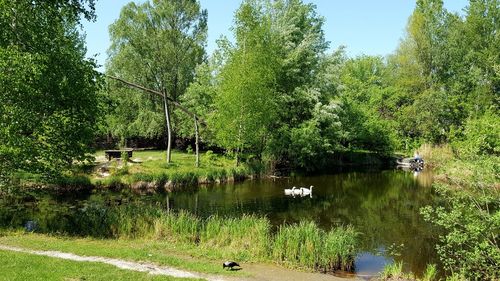 Scenic view of lake