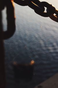 Close-up of spider web on chain against sea