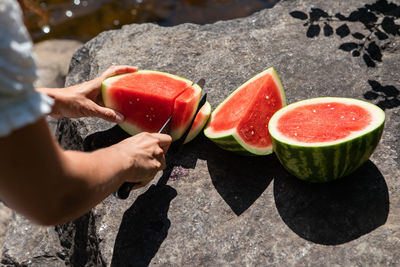 Cropped image of hand holding fruits