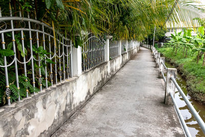 View of walkway along trees