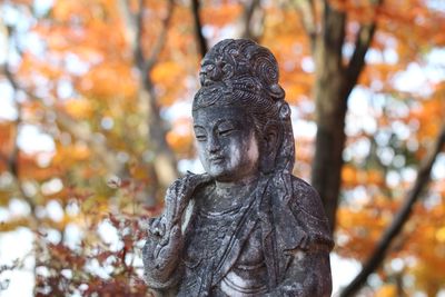Low angle view of statue against trees during autumn